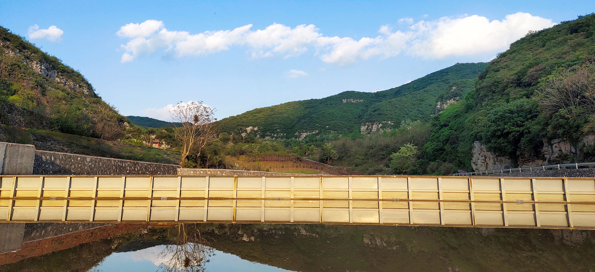 保麗龍泡沫箱定制
